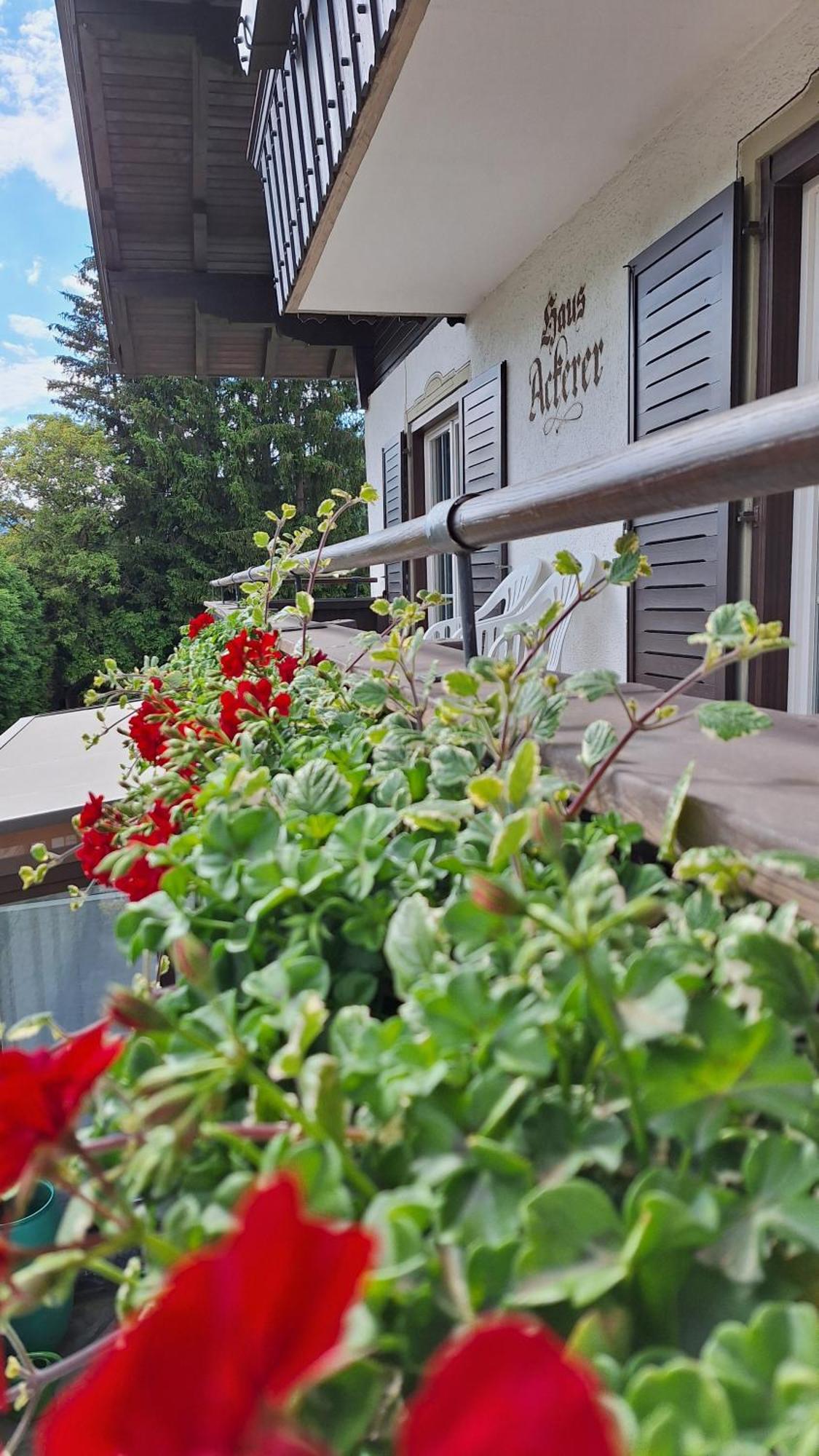 Ferienwohnung Haus Ackerer Leogang Exterior foto